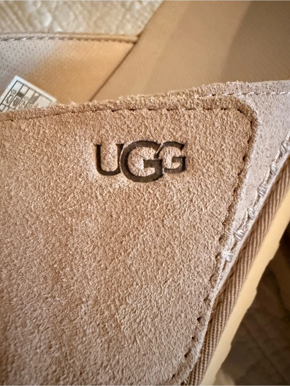 UGG Suede Slip-On in Chestnut Beige